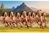 002 Feng shui eight horses vastu painting big size canvas S