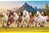 005 Feng shui eight horses vastu painting big size canvas L