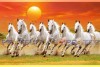 007 Feng shui 8 horses painting wall canvas big size canvas S