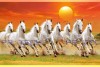 008 Feng shui 8 horses painting wall canvas big size canvas L