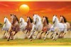 009 Feng shui 8 horses painting wall canvas big size canvas L