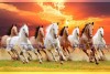 feng shui eight horse vastu painting wall canvas big size canvas L