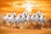feng shui Eight Running Horses Painting Best white 8 horse