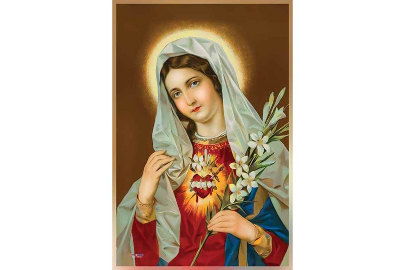 006 Virgin Mary Painting Sacred Heart Mary Portraits