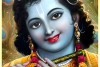 Beautiful lord Krishna photo smile face painting on Synthetic Material