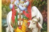 lord krishna with cow canvas painting shri krishna wall canvas