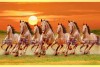 021 Best 7 horse painting seven running horses vastu painting S