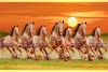 022 Best 7 horse painting seven running horses vastu painting S