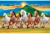 027 Best 7 horse painting seven running horses vastu painting S