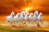 028 Vaastu Seven Horses Painting Large size white horse L