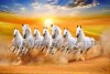 024 best sun with White Seven Running Horses Vastu Painting