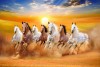 seven running horses Vastu painting best vastu 7 horses painting