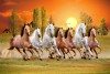 027 Best seven horse vastu painting feels real prosperity R