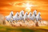 044 Best Seven Running Horses Painting | 2020 Seven White Horse RL