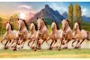7 Horses Painting According to Vastu Shastra left